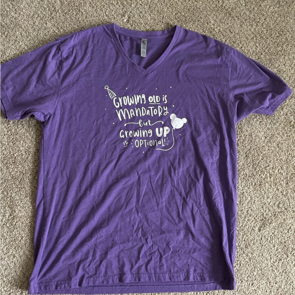 Pixie Lee and Co Disney Birthday shirt